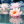 {
																															Photograph of a pink lotus flower floating on a pond
																													