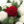 {
																															A bouquet of red and white roses
																													