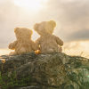 {
																																					Two teddy bears holding hands and watching a warm sunset
																																			