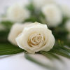 {
																																					A white rose
																																			