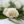 {
																															A white rose
																													